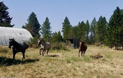 16155 N Mountain View Rd, Rathdrum, ID 83858
