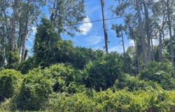 SENATE Avenue, NORTH PORT, FL 34291
