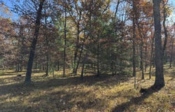 Parcel 7 County Line Road, Free Soil, MI 49411