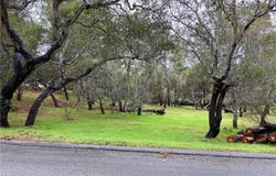 Kenneth, Cambria, CA 93428