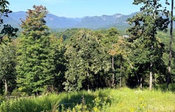 Summertime Drive, Lake Lure, NC 28746