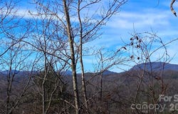 Ruffed Grouse Road, Brevard, NC 28712