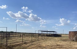 Terrapin, Megargel, TX 76370