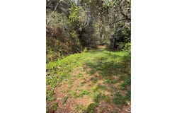 Sheffield, Cambria, CA 93428