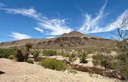 118 S, Terlingua, TX 79852.