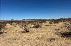 Delaware, Joshua Tree, CA 92252