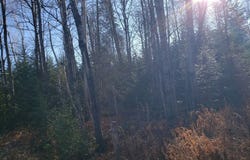 3455W Hwy. 182, Springstead, WI 54547