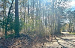 Holley Ferry Road, Leesville, SC 29070-0000
