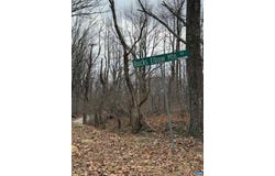 BUCKS ELBOW MOUNTAIN RD, CROZET, VA 22932