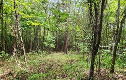 Brooks Mill Rd lot: 6, Glade Hill, VA 24092