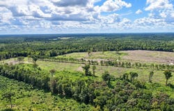 Old Forreston Rd., Greeleyville, SC 29056