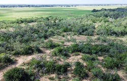 980 Mann Rd 01, Poteet, TX 78065