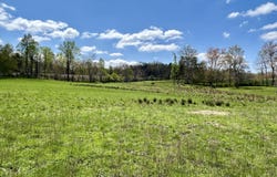 428 Dick Wilson Road, Strunk, KY 42649