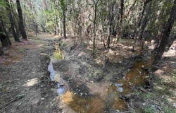 52 Hwy 160, Hermitage, AR 71647