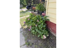 370 4th Street, Manistee, MI 49660