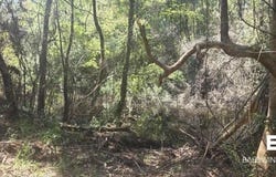 21373 Ima Brill Loop, Robertsdale, AL 36567