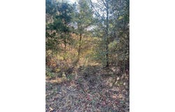 Goff Circle, Dyer, AR 72921