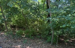 691 Castlecliff Road, Ballwin, MO 63021