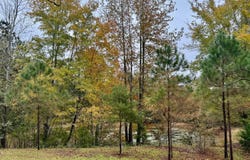 CO RD 62, Haleyville, AL 35565