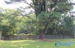 54 Nottingham Lane, Fyffe, AL 35971