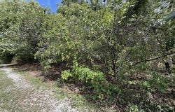 Walnut Circle, Flemington, MO 65650
