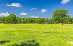300 County Road 3636, Dike, TX 75437