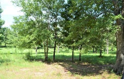 ... Biltmore Drive, McComb, MS 39648