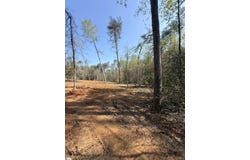 Thompson Road, Greer, SC 29651
