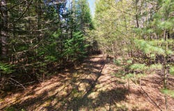 Hardscrabble Rd, North Creek, NY 12853