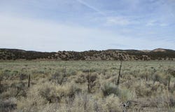Eagle Valley Rd (33.89 Ac), Pioche, NV 89043