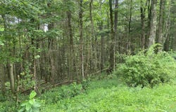 Limestone Road, Parsons, WV 26287