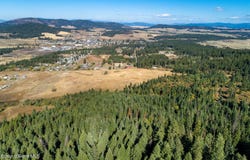 Thimbleberry Lane, Plummer, ID 83851