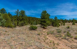 TBD L Arnold Dr, Cotopaxi, CO 81223