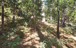 Grass Valley, Lake Arrowhead, CA 92352