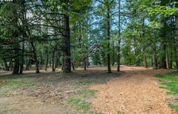 Valley View Dr, Albany, OR 97321