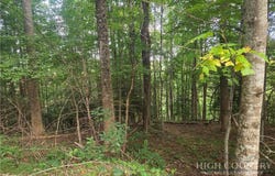 Powder Horn Estates Drive lot: 111R, Deep Gap, NC 28618