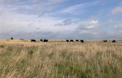 Tract A S 336 RD, Morrison, OK 73061