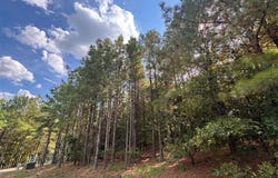 131 S Spruce Trail, Broken Bow, OK 74728