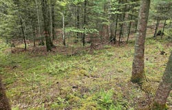 35 Langway Road, Lyman, NH 03585
