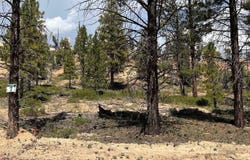 Elk Ridge Estates lot: # 7 Phase 6, Alton, UT 84710