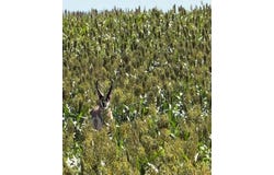 26 gg Rd, Snyder, CO 80750