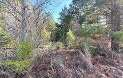 FM 2888, Marietta, TX 75566