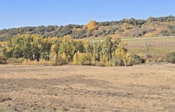 1308 Wrangler Way, Durango, CO 81303