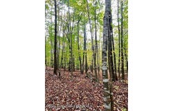 Alpine Drive, Bovina, NY 13740