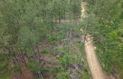 Graysport Crossing Road, Grenada, MS 38901