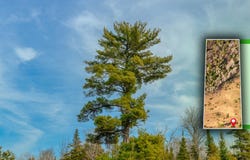Horoscope Road lot: 7, Pelkie, MI 49958