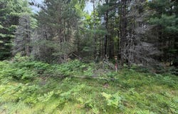 WATERSMEET LAKE RD lot: 2, Eagle River, WI 54521