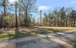 12234 Whitetail Ln, Walker, LA 70785