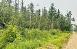 I Road, Bark River, MI 49807