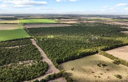 FM 198, Cooper, TX 75432